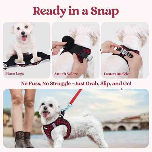 Dog Harness Small Sized and Leash Set (Red Check / S (chest: 15.1 - 16.5"))