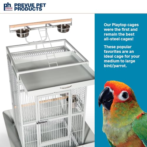 Wrought Iron Select Bird Cage (Pewter / 24.0"L x 20.0"W x 60.0"H)