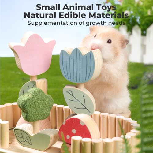 Hamster Chew Toys for Teeth