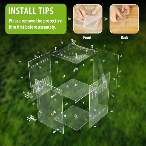 Large Jumping Spider Enclosure (Large-12''x8''x8'')