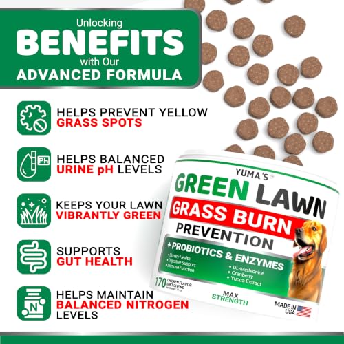 Dog Urine Neutralizer for Lawn (Green Lawn + Probiotic / 170 Chews)