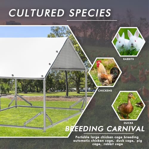Metal Chicken Coop Spire Roof Walk in Chicken Run Pen for 6 Chickens (78.0"L x 118.1"W x 76.8"H)