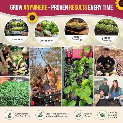 25 Vegetable Seeds Variety Pack