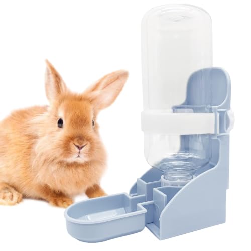 Rabbit Water Bottle (1PCS Water Dispenser, Blue)