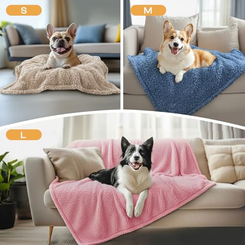 1 Pack 3 Calming Dog Blanket Fluffy Premium Fleece Pet Blankets Soft Sherpa Throw for Dogs Puppy Cat Beige (Small (Pack of 3) / Beige/Pink/Hazeblue)