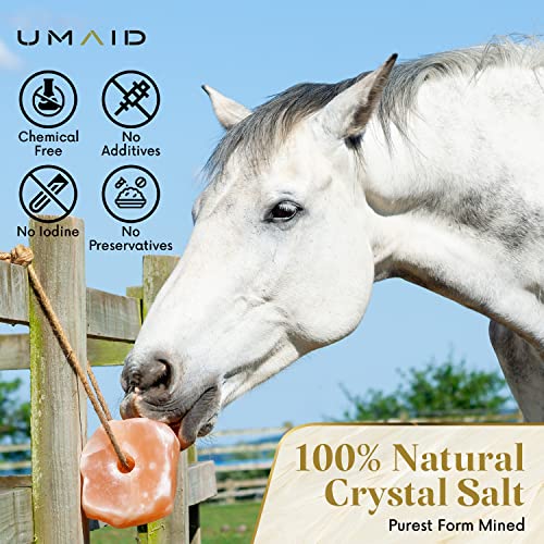 Himalayan Salt Lick 6 lbs. on Rope for Horses (6 Pound (Pack of 4))
