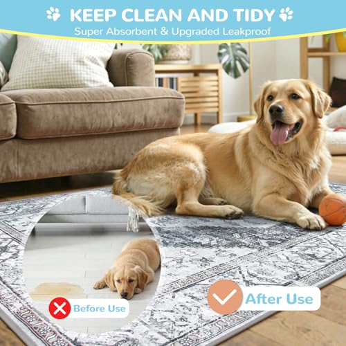 Reusable Washable Puppy Pads (Gray / 3FT x 4FT (Pack of 2))