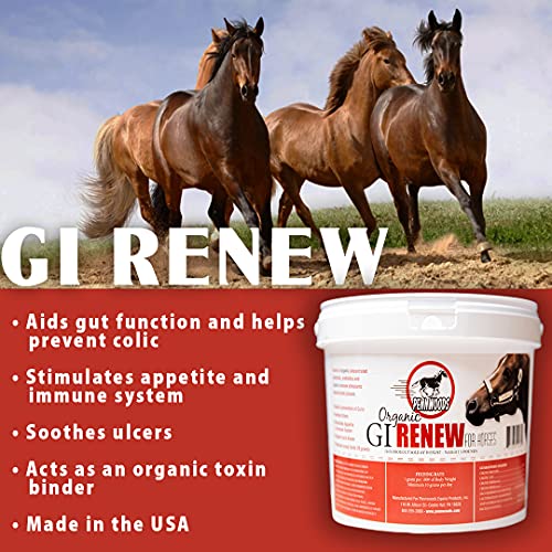 GI Renew Digestive Horse Supplement Powder (2 LBS)