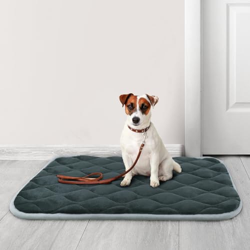Dog Bed Mat Crate Pad (24.0"L x 18.0"W x 0.7"Th" / Grey Mat)