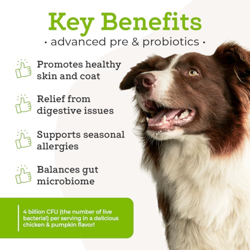Dr. Joseph's VetPro Complete Advanced Pre & Probiotics Powder for Dogs