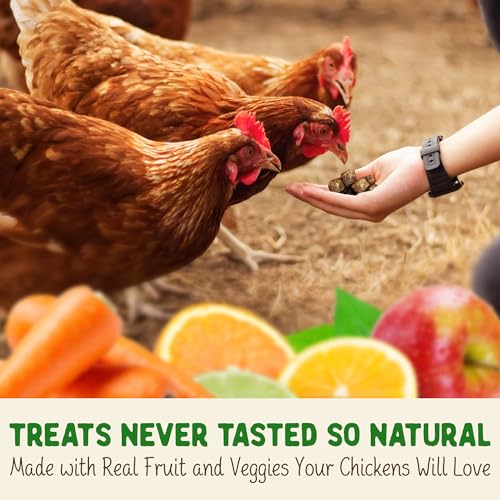 Doc Eddie’s Backyard Chicken Supplement