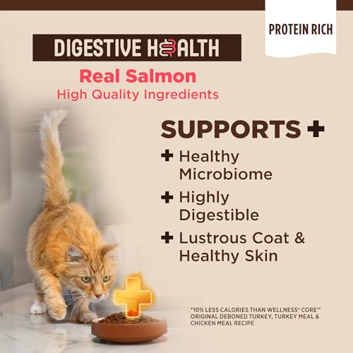 CORE+ Digestive Health Adult Dry Cat Food (5 Pound (Pack of 1))