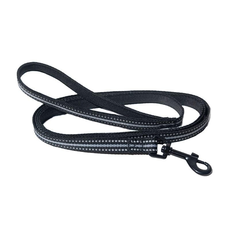 Travel Cat & Stray Cat Harness and Leash Set (LARGE: 13-16 IN)