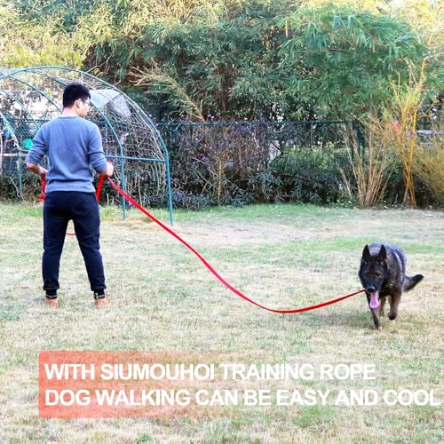 Dog Puppy Obedience Recall Training Agility Lead (Pink / 20 Feet)