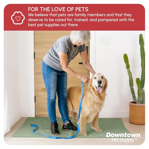 Dog Mud Mat 60" x 36" Sage (60" x 36" / Sage)