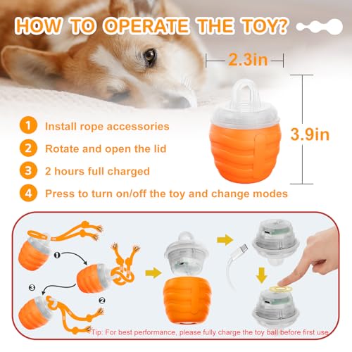 Interactive Dog Toys Ball (Blue / Medium/Large)
