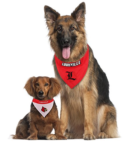 Collegiate Pet Accessories (Large/X-Large / Louisville Cardinals)