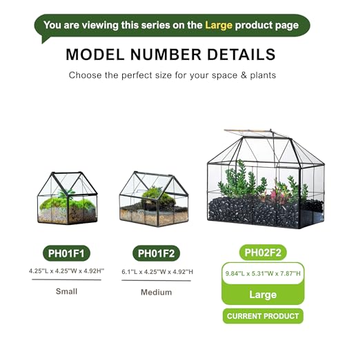 Glass Terrarium Planter with Lid for Small Succulent Plants