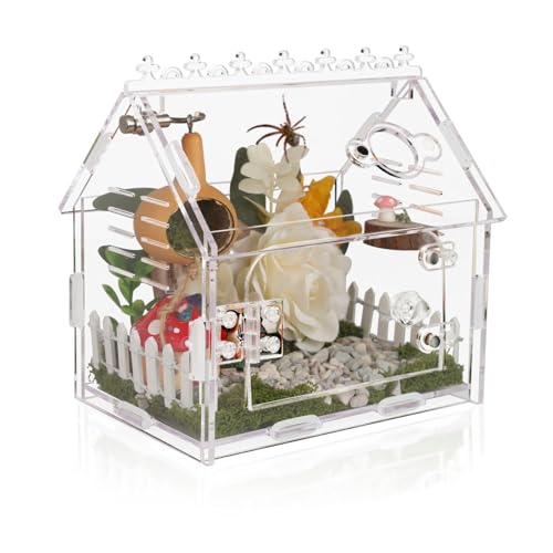 Jumping Spider Enclosure