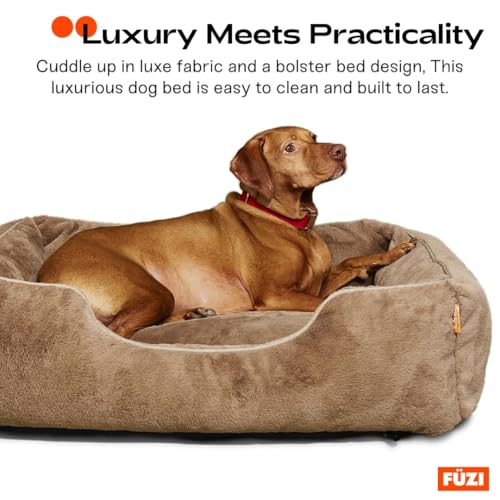 Luxury Aesthetic Dog Bed with Extra Cover for Medium Dogs (Dark grey / Medium)