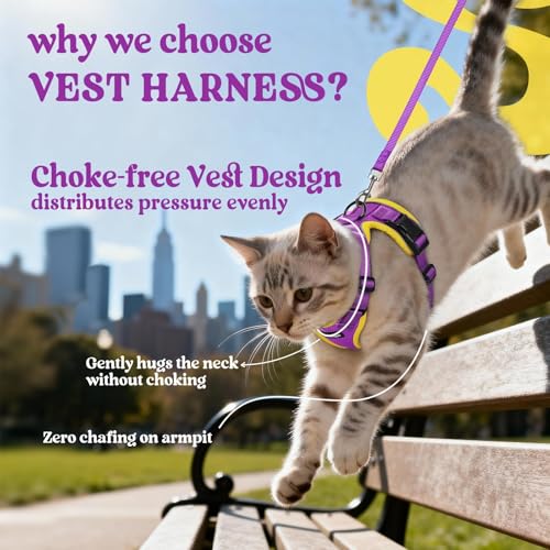 Cat Harness and Leash Set (Xs / Purple & Yellow)