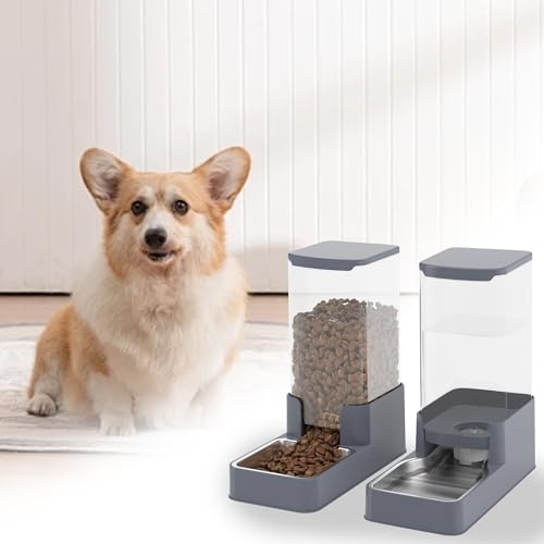 Automatic Cat Feeder and Water Dispenser in Set with Pet Food Bowl