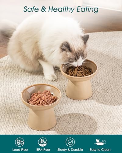 2 Pack Elevated Cat Food Bowls (Brown)