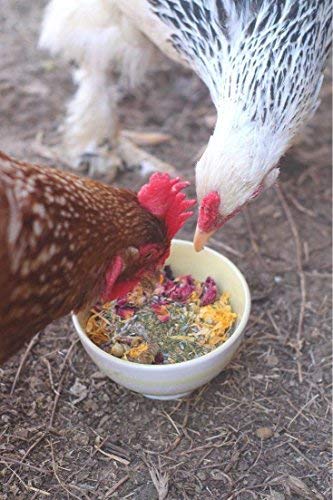 Best Eggs Ever! Nesting Herbs for Chickens (4 Pound (Pack of 1))