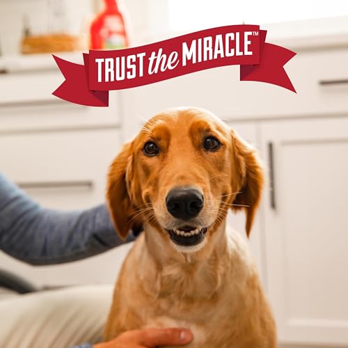 Nature’s Miracle Advanced Dog Stain & Odor Eliminator Foam (Foam / 17.5 Fl Oz (Pack of 1))