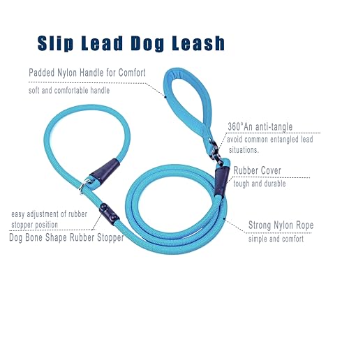 Slip Lead Dog Leash (1/2"×6ft / Blue)