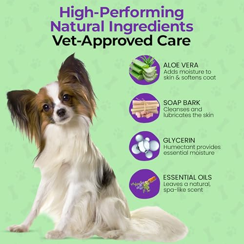DAILY RE FRESH Dog Deodorizing Spray & Skin and Coat Refresher