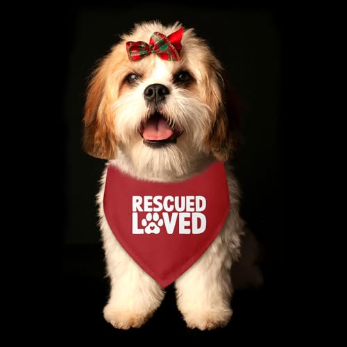 Rescued Loved Dog Bandana Adopt Me Bandanas for Dogs Adoption Gotcha Day Adopted Baby Dog Announcement Adopt Me Pets Scarf for Small Medium Dogs & Cats (V)