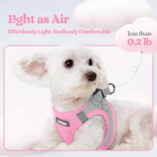 Dog Harness Small Sized and Leash Set (Light Pink & Gray / Xxs (chest: 12.4 - 14.2"))