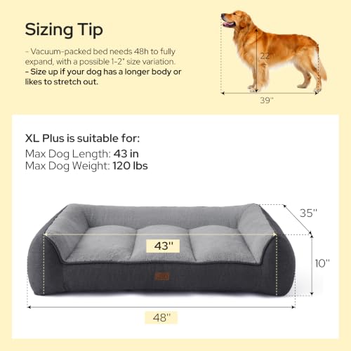 SupportMax® Extra Thick Orthopedic XL Dog Bed for Extra Large Dogs (Black / 48"l X 35"w X 10"th)