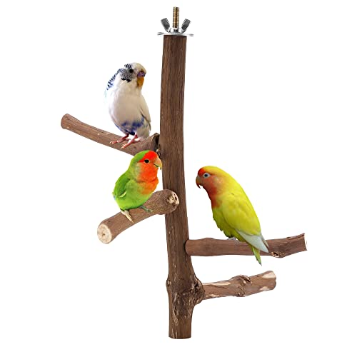 Bird Perch Stand Toy Grapevine Wood Bird Cage Branch Perch 10 Inch (10 Inch Grape Wood Perch)