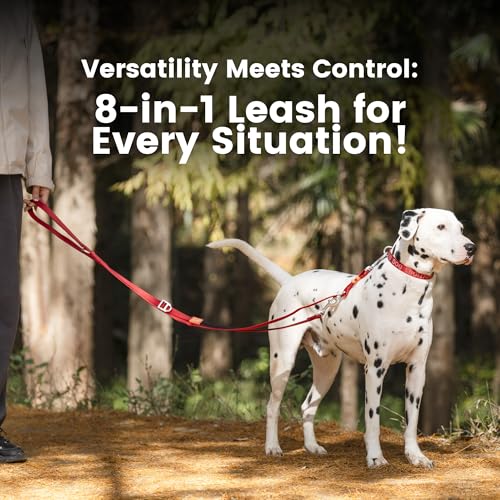 Multifunctional Adjustable Hands Free Leash (MintGreen / UltraLight)