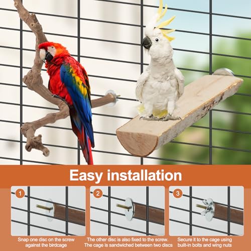 Bird Perch Stand