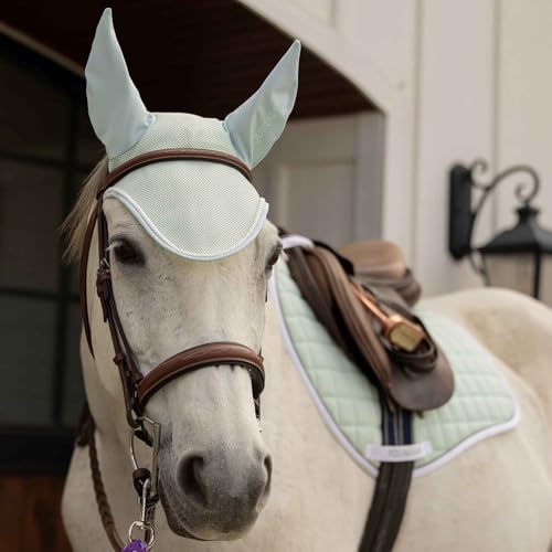 Svalbard NordicAir Tech Horse Saddle Pad (Misty Jade / Horse)