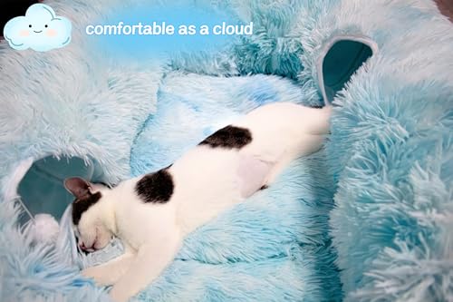 4 Cave Shuttled XL Cat Tunnel Bed for Indoor Cats Peekaboo Toy Donut with Warm Mat (Azure Blue)