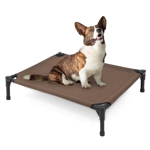 Elevated Dog Bed for Medium Dogs (Brown / Medium)