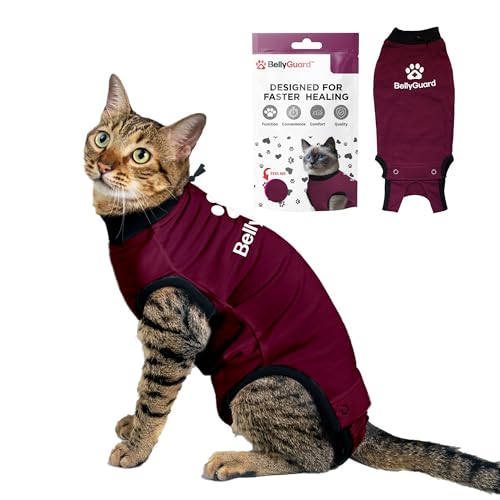 Cat Recovery Suit Female and Male (Maroon / XSmall)
