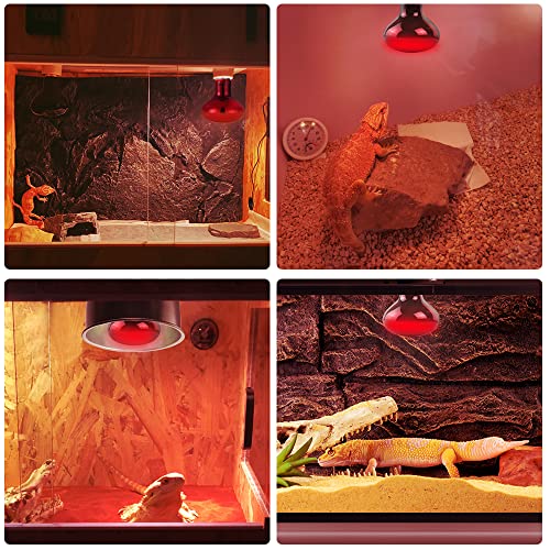 100W Reptile Heat Lamp Bulb 2 Pack (Infrared Basking Light Bulb / 100 Watts)