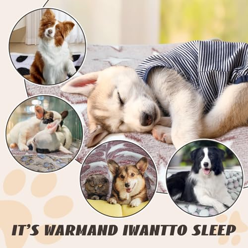 6 Pcs Washable Guinea Pig Blankets Absorbent Small Animal Fleece Bedding Cage Liners Reusable Pet Pee Pad Sleep Mat Pad Cover for Hamster Ferret Rabbit Chinchilla Hedgehog (6 Black Bulk / 24" x 35")