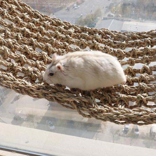 Rat Climbing Toys