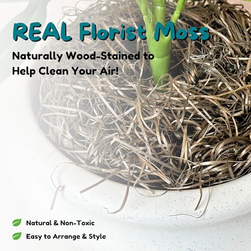 Original Hidden Litter Box Planter (Palm Plant / Base Kit / Soft White)