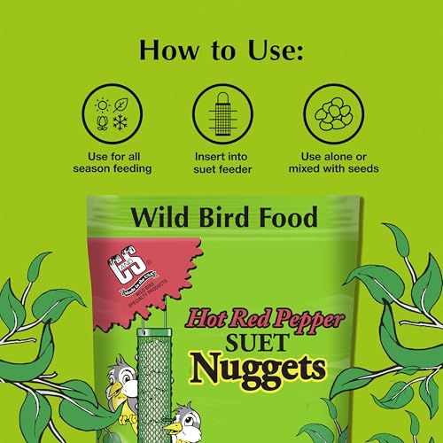 Berry Flavor Suet Nuggets (1.69 Pound (Pack of 1))