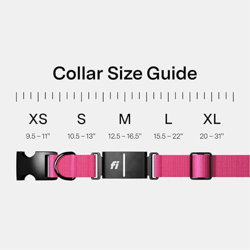 Series 3+ GPS Dog Collar & Tracker (Pink / X-Large)