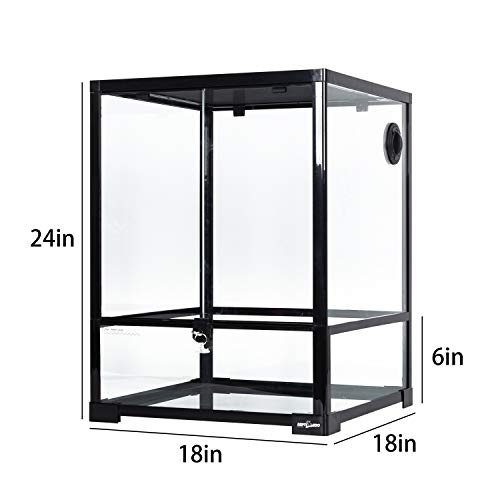 Reptile Glass Terrarium (Black and Clear)