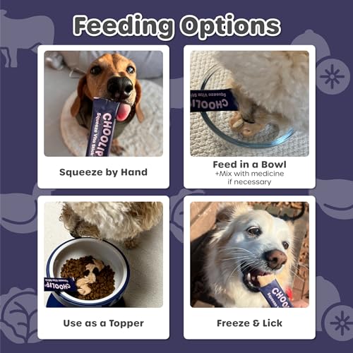 Squeeze Vita Stick Brain Support Lickable Cat and Dog Treats (3.7 Ounce (Pack of 1))