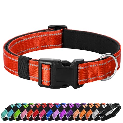 Reflective Dog Collar (Tangerine / L:width 1"neck 17.5-27")